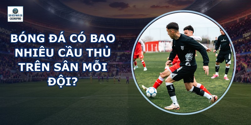 Bóng Đá Có Bao Nhiêu Cầu Thủ