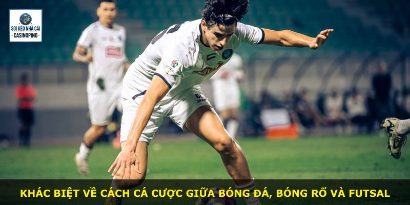 Khác biệt về cách cá cược giữa bóng đá, bóng rổ và futsal