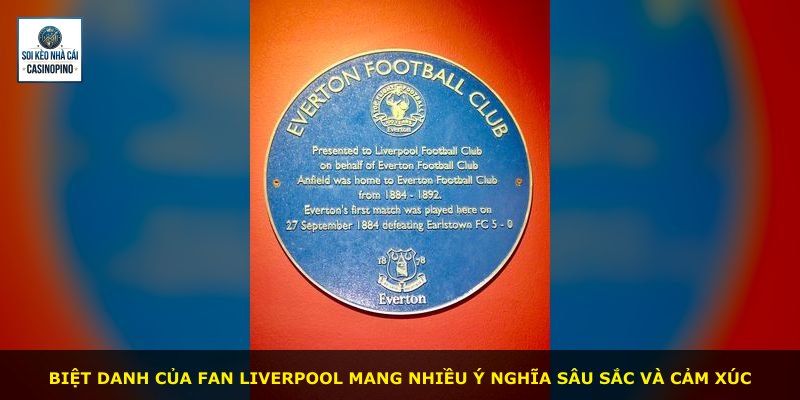 Biệt danh của fan Liverpool mang nhiều ý nghĩa sâu sắc và cảm xúc