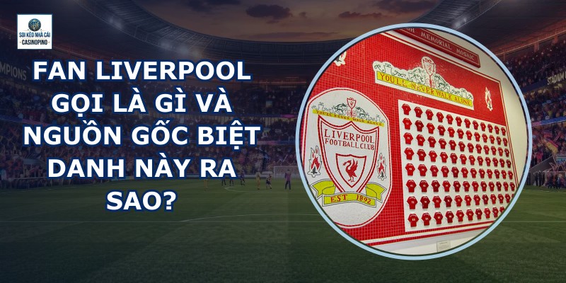 Fan Liverpool Gọi Là Gì
