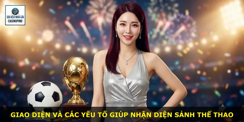 Giao diện và các yếu tố giúp nhận diện sảnh thể thao