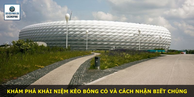 Khám phá khái niệm kèo bóng cỏ và cách nhận biết chúng