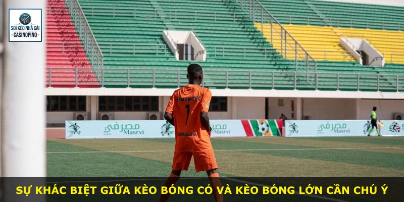 Sự khác biệt giữa kèo bóng cỏ và kèo bóng lớn cần chú ý