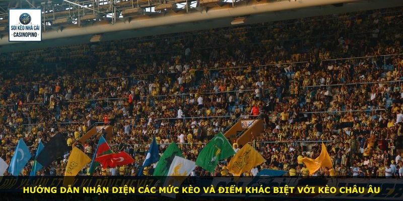 Hướng dẫn nhận diện các mức kèo và điểm khác biệt với kèo châu Âu