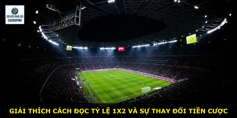 Giải thích cách đọc tỷ lệ 1X2 và sự thay đổi tiền cược