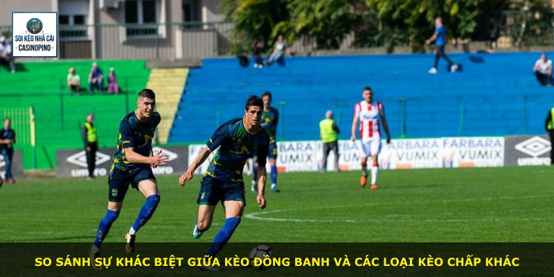 So sánh sự khác biệt giữa kèo đồng banh và các loại kèo chấp khác