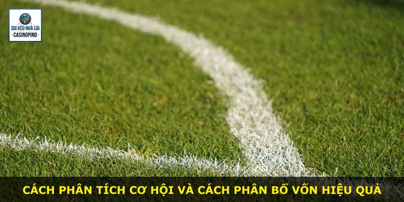 Cách phân tích cơ hội và cách phân bổ vốn hiệu quả