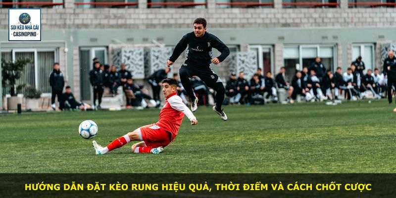 Hướng dẫn đặt kèo rung hiệu quả, thời điểm và cách chốt cược