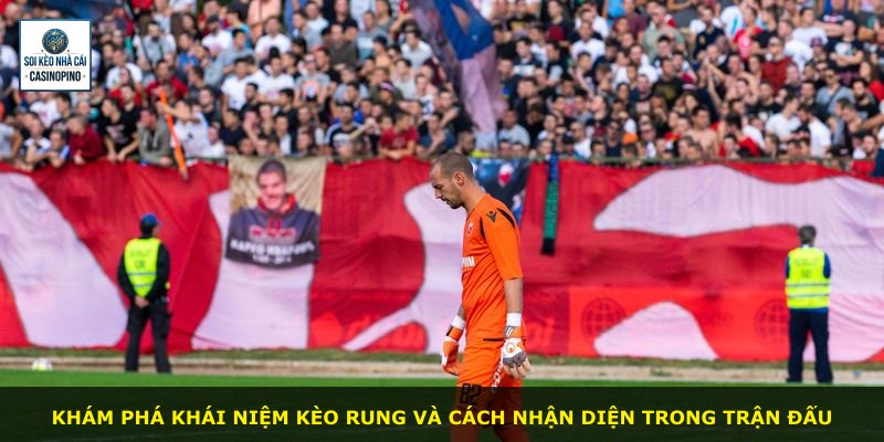 Khám phá khái niệm kèo rung và cách nhận diện trong trận đấu
