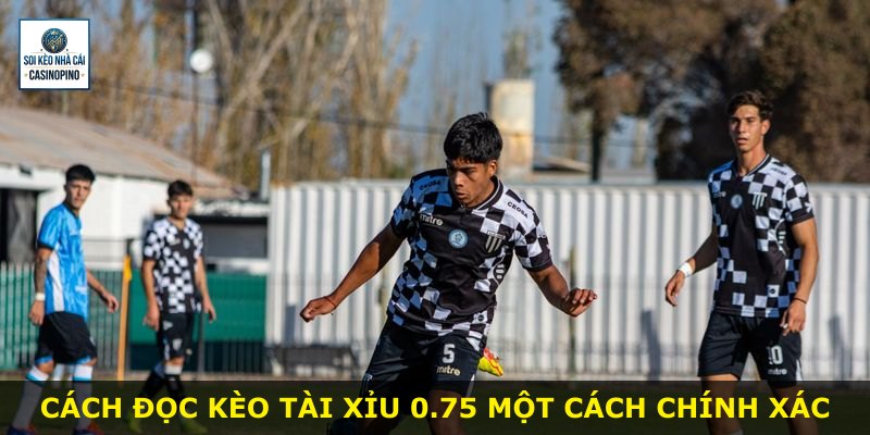 Cách đọc kèo Tài Xỉu 0.75 một cách chính xác