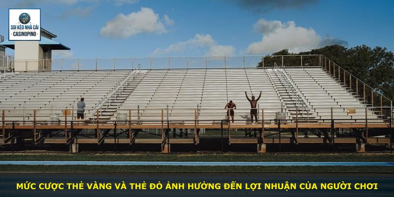Mức cược thẻ vàng và thẻ đỏ ảnh hưởng đến lợi nhuận của người chơi