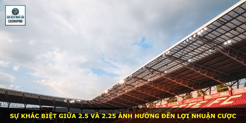 Sự khác biệt giữa 2.5 và 2.25 ảnh hưởng đến lợi nhuận cược