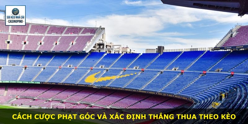 Cách cược phạt góc và xác định thắng thua theo kèo