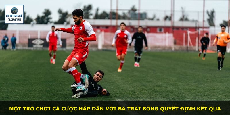 Một trò chơi cá cược hấp dẫn với ba trái bóng quyết định kết quả