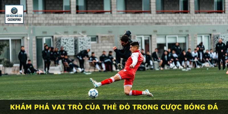 Khám phá vai trò của thẻ đỏ trong cược bóng đá