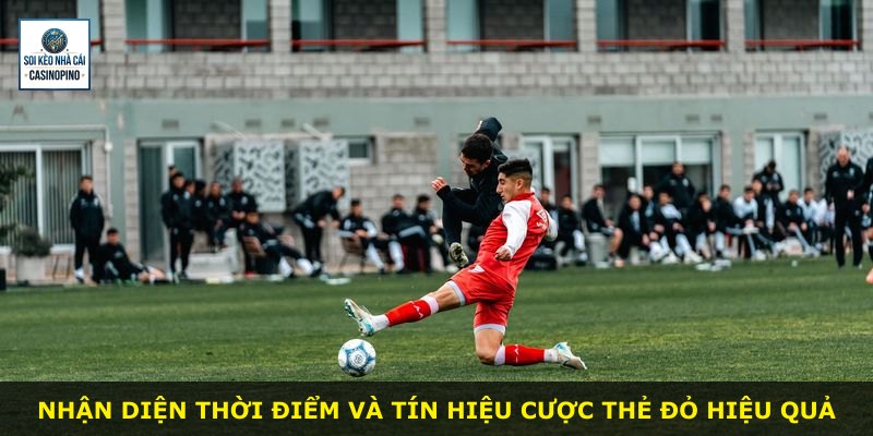 Nhận diện thời điểm và tín hiệu cược thẻ đỏ hiệu quả