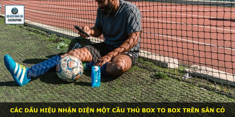 Các dấu hiệu nhận diện một cầu thủ box to box trên sân cỏ