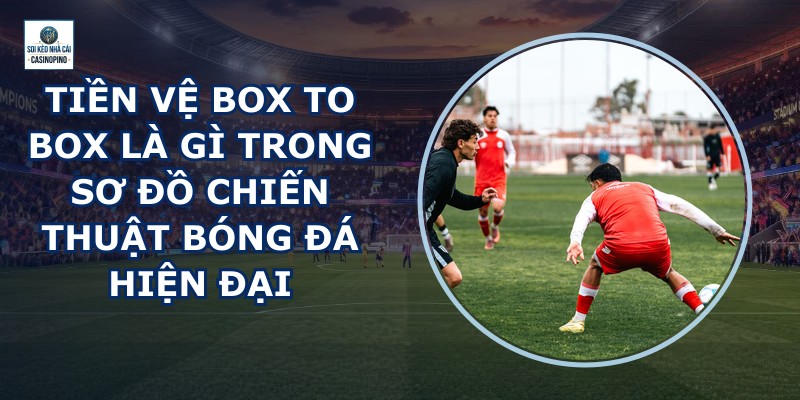 Tiền Vệ Box To Box Là Gì