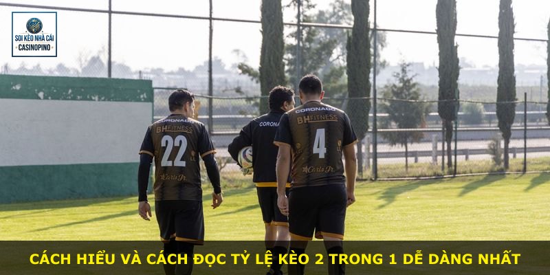 Cách hiểu và cách đọc tỷ lệ kèo 2 trong 1 dễ dàng nhất